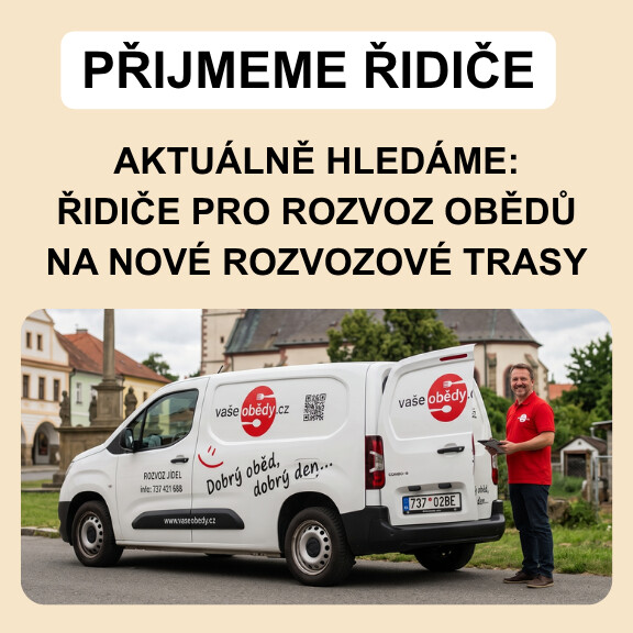 Hledáme řidiče 2